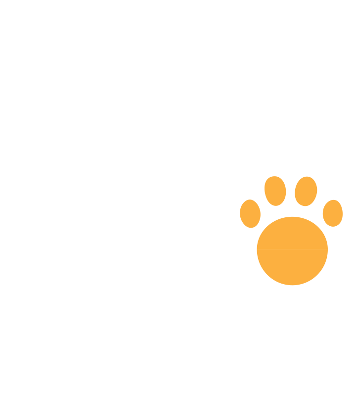 Schedule Appointment